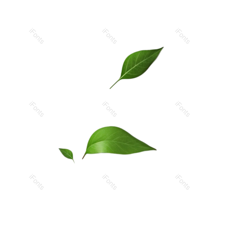 装饰图片,清新元素,动感PNG,装饰树叶免抠素材